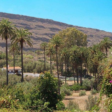 Casa Rural El Olivar La Almazara Santa Lucia 外观 照片