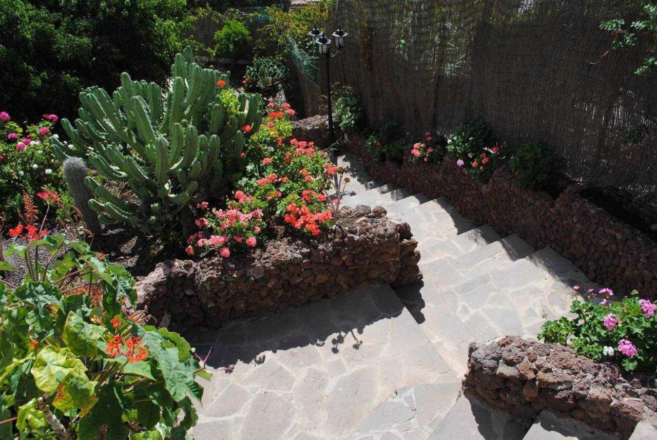Casa Rural El Olivar La Almazara Santa Lucia 外观 照片