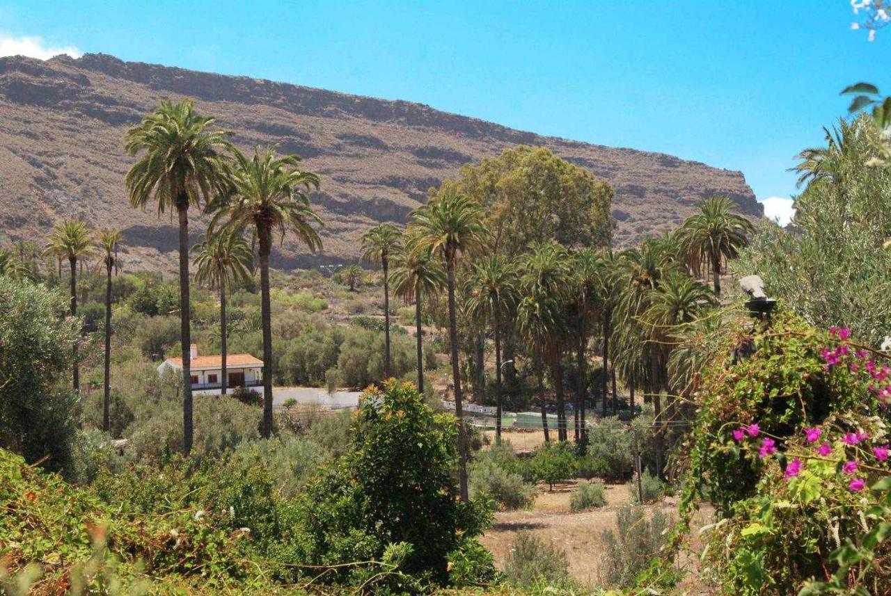 Casa Rural El Olivar La Almazara Santa Lucia 外观 照片